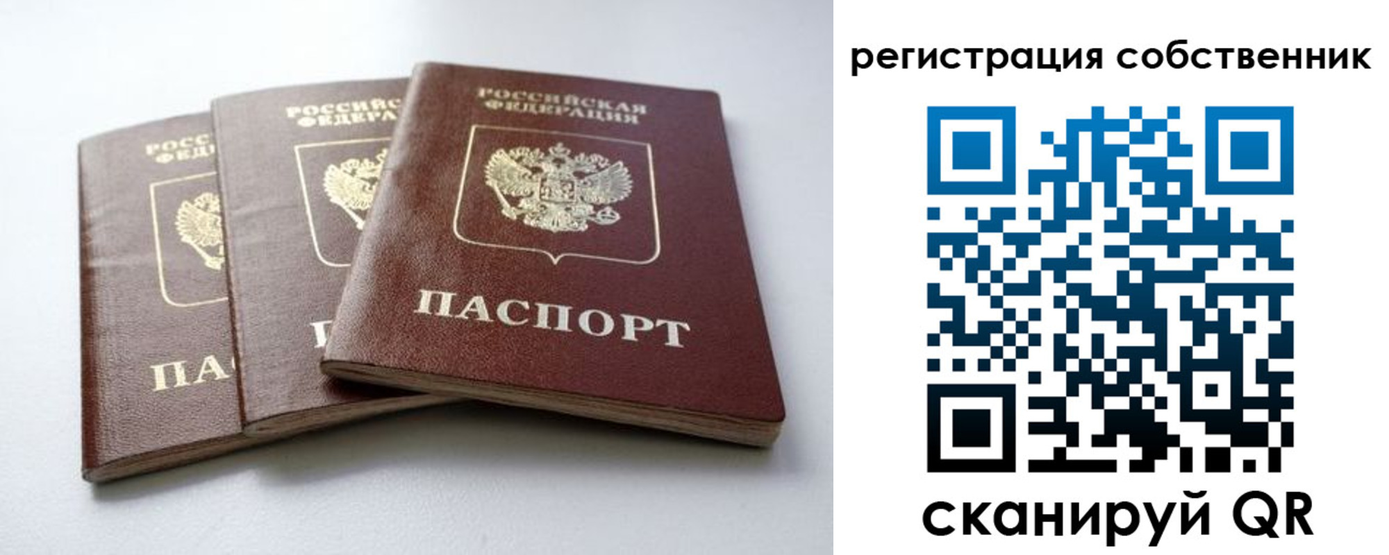 прописка для школы в Пионерском